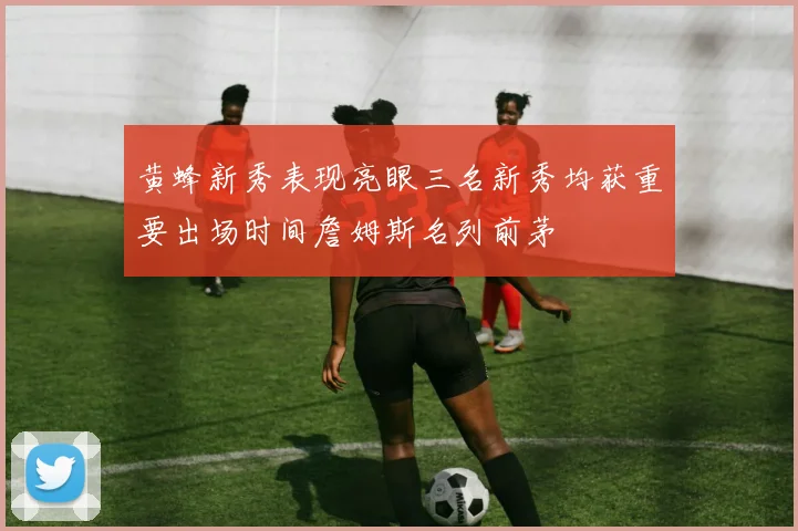 黄蜂新秀表现亮眼三名新秀均获重要出场时间詹姆斯名列前茅