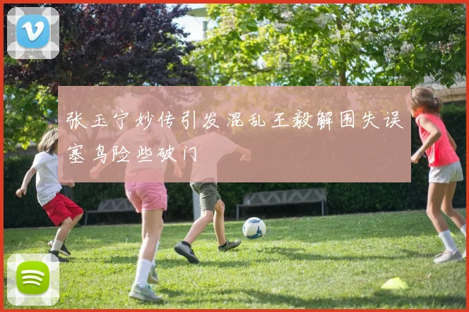 张玉宁妙传引发混乱王毅解围失误塞鸟险些破门
