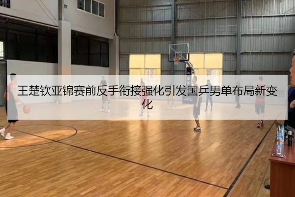 王楚钦亚锦赛前反手衔接强化引发国乒男单布局新变化（zosprt）